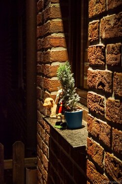 Nightlight