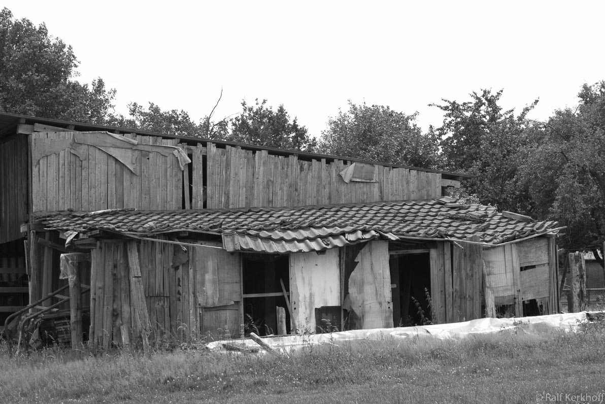 Old Cabin