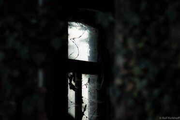 Light