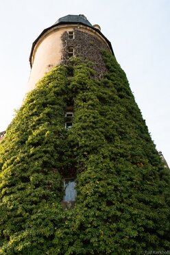 Burgturm