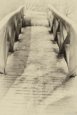 Crossing