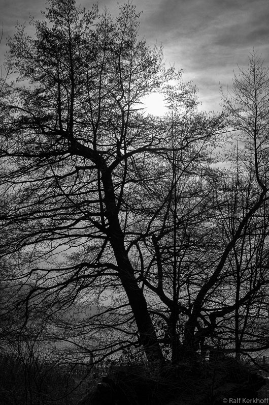 WinterSky