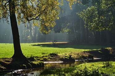 Licht