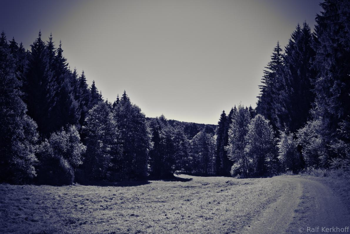 Schafbachtal