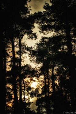 Sunglow