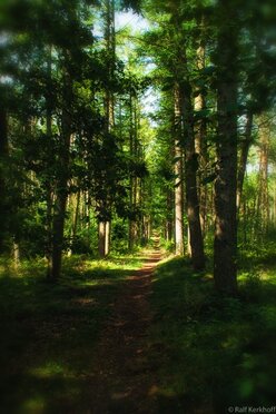 Path