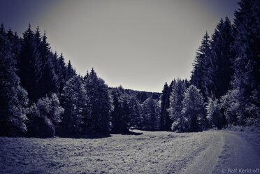 Schafbachtal