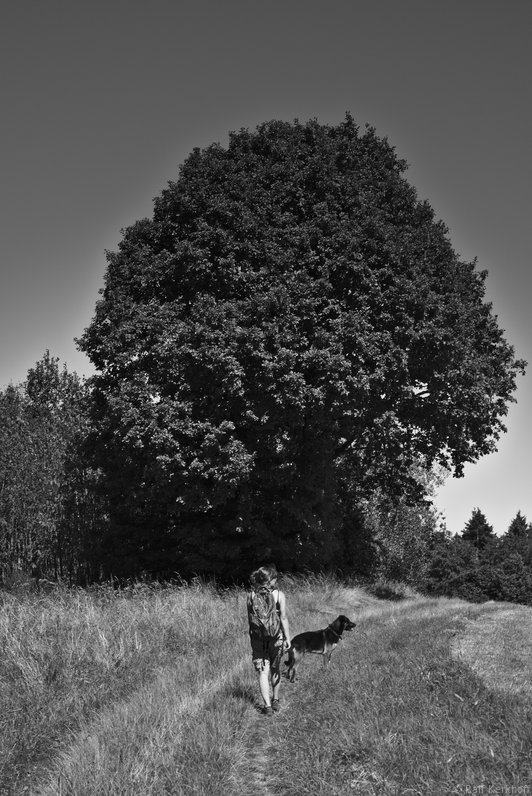 MightyTree