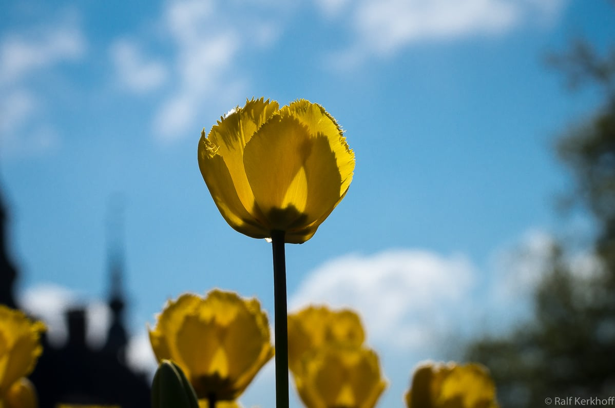 Hintergrund