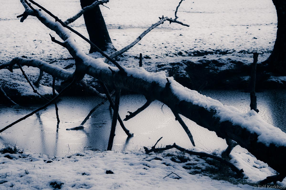 Freeze