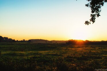Fields
