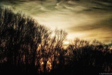 WinterSky