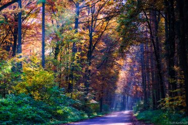 Autumn Valley