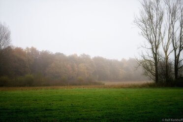 Herbstnebel