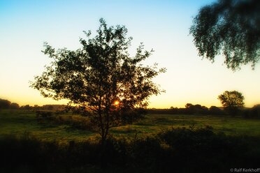 Silence