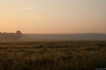 Summer Morning