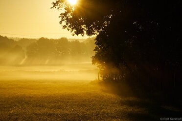 Sunbeams