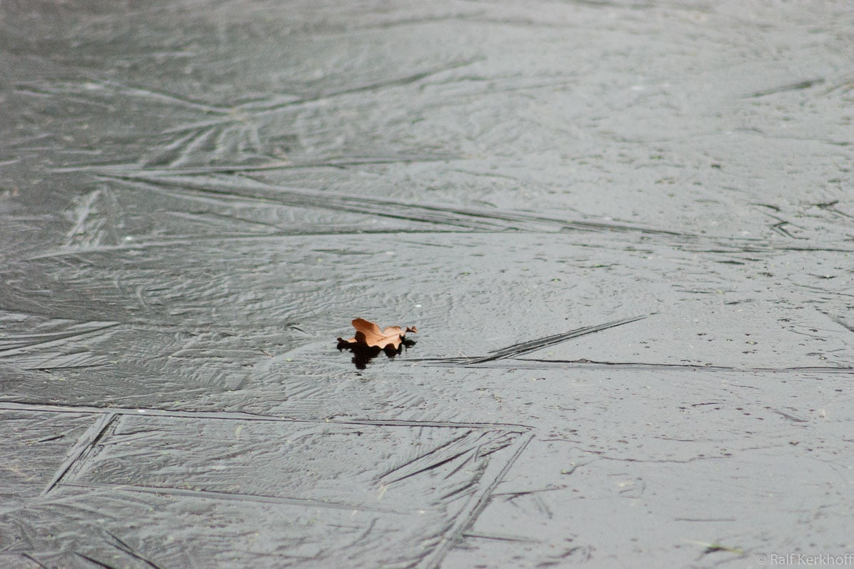 Lonely Leave