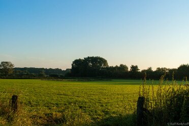 Pasture