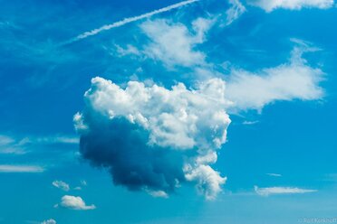 The Cloud