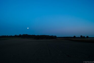 Moonshine Fields