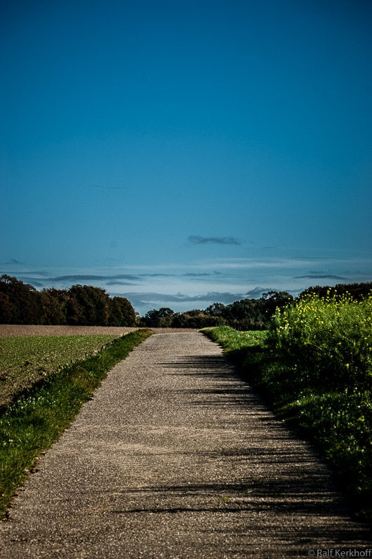 Pathway