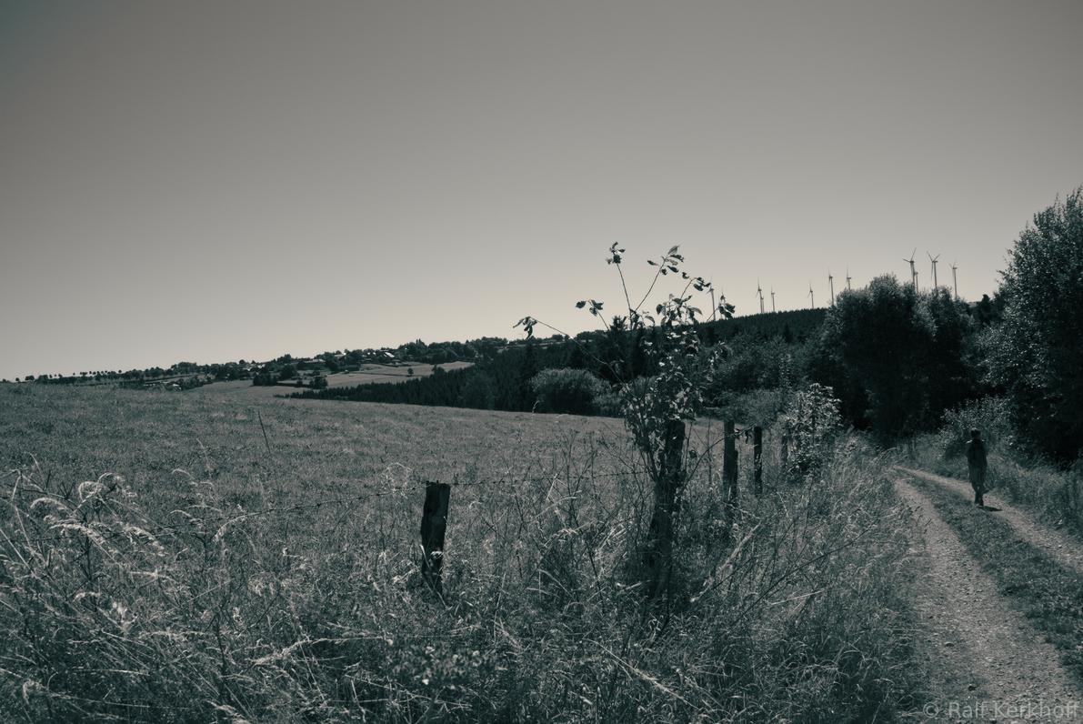 Pathway