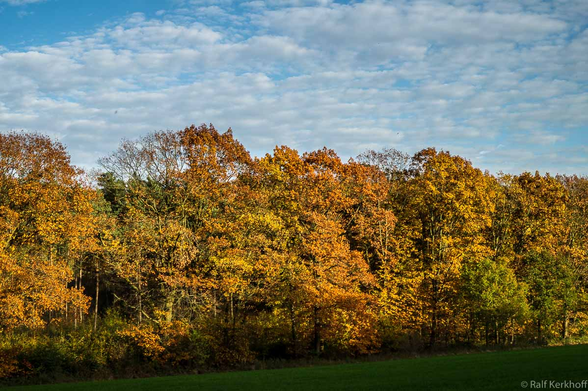 Herbstpracht