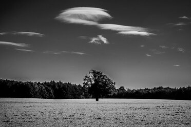 Infrared