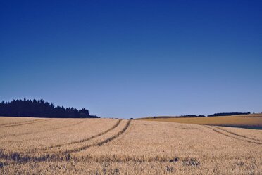 Fields