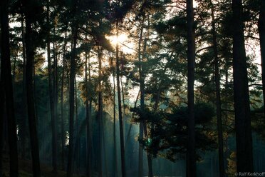 Myst
