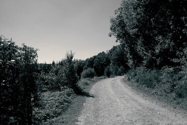 The Way