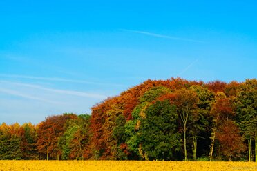 Herbstlandschaft