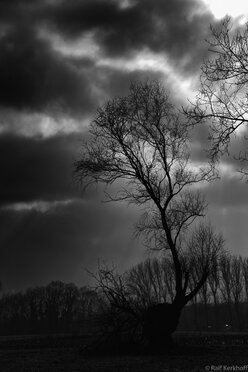 Dark Sky