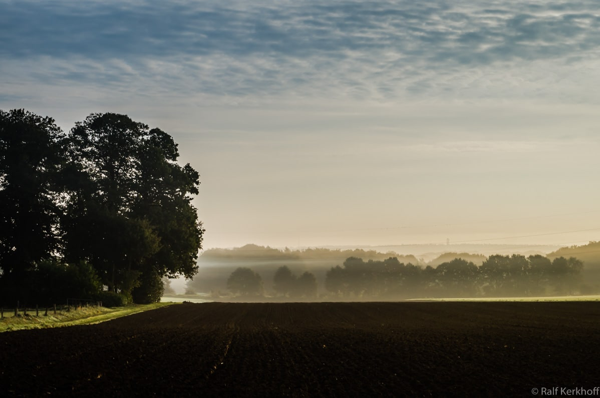 Morgendunst