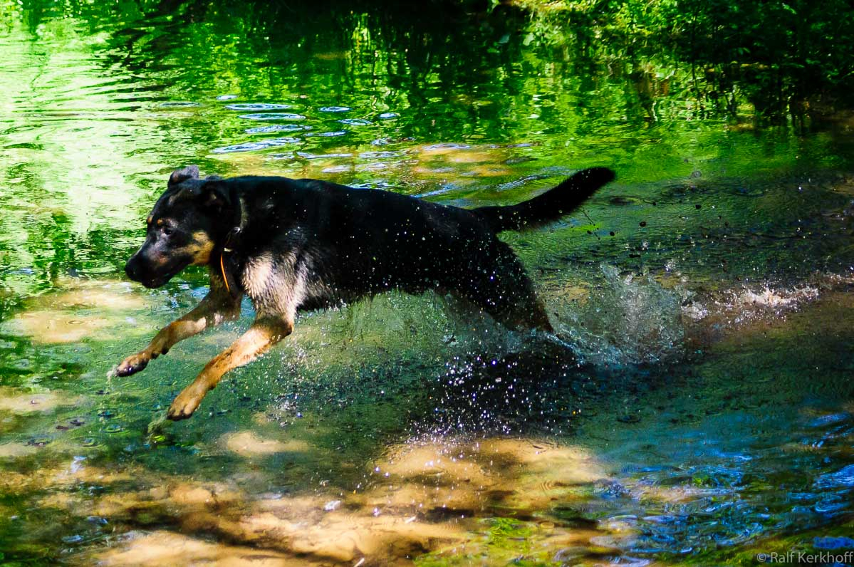 Jump