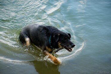 Out Of The Water