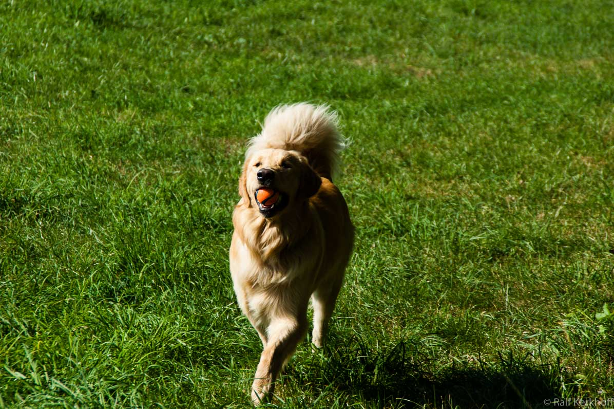 Full Speed