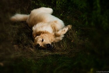 Hard Day