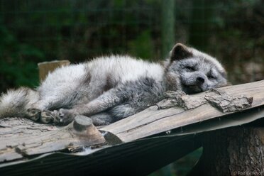 Sleepy