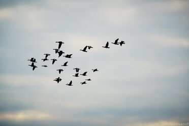 Abflug