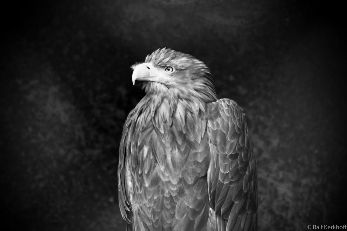 Majestät