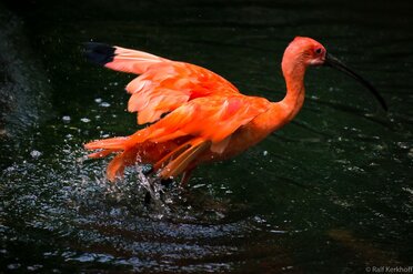 TakeOff