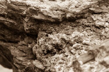 Stoned Wood