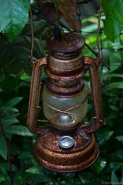 Rost