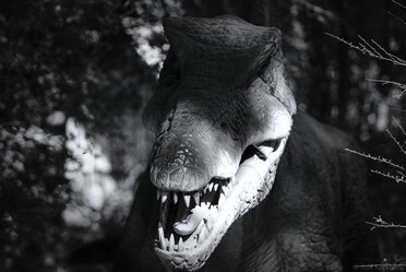 Dino