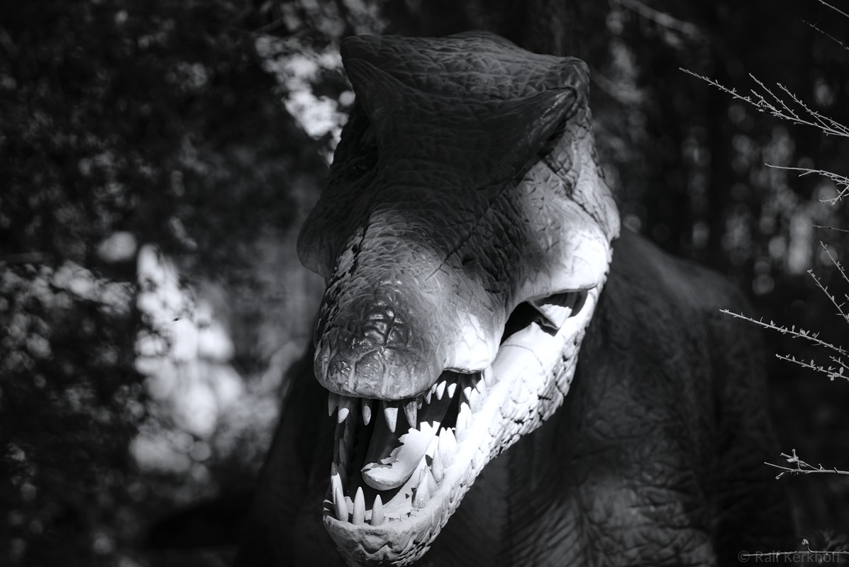 Dino